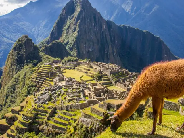 Machu Picchu Package 5 Days