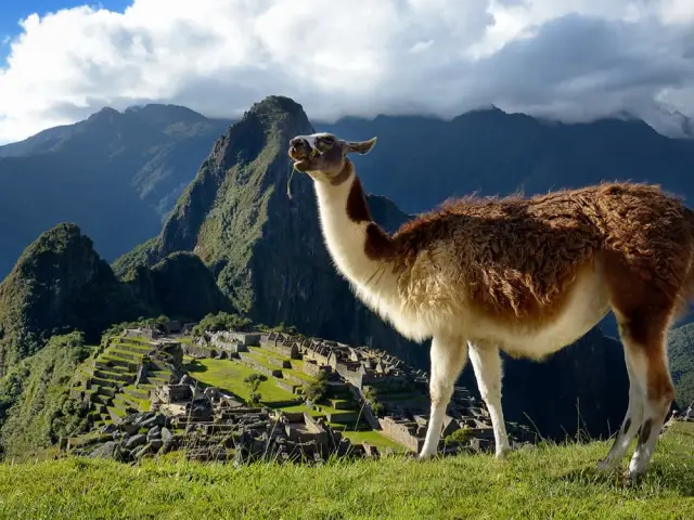 Choquequirao to Machu Picchu Trek 9 Days