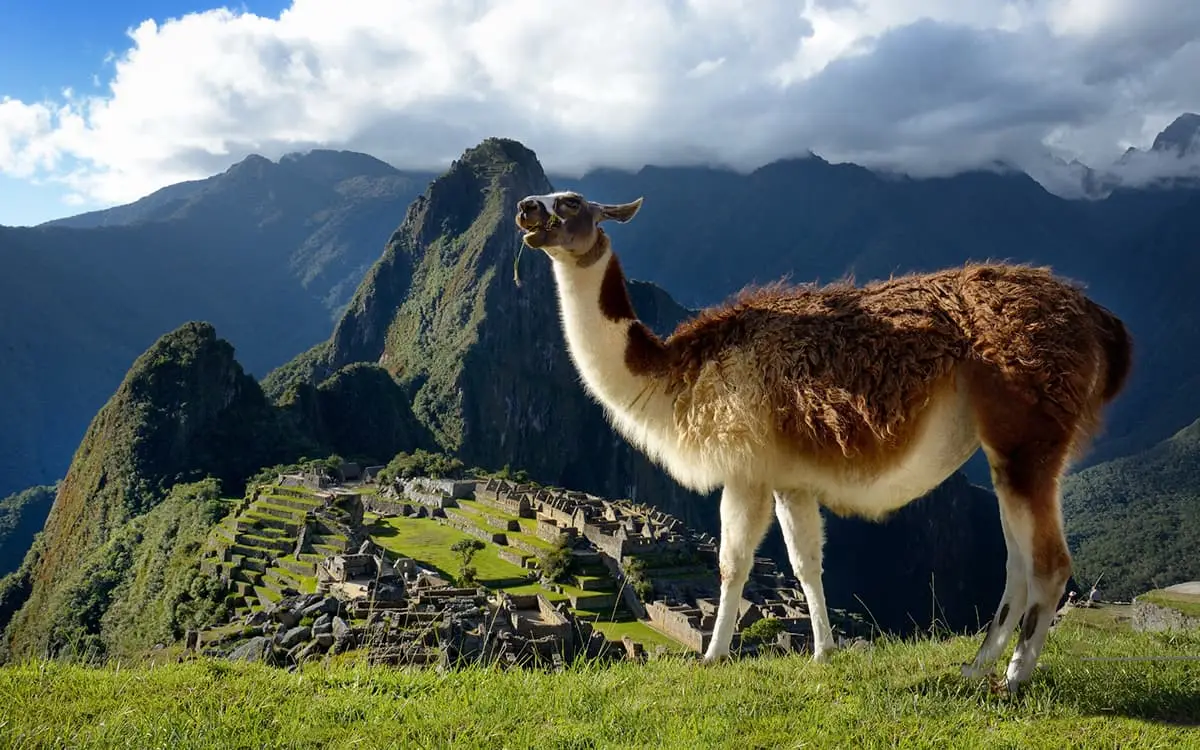 Choquequirao to Machu Picchu Trek 9 Days